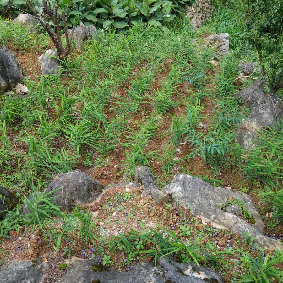 独自一人在漂泊，都是为了在生活