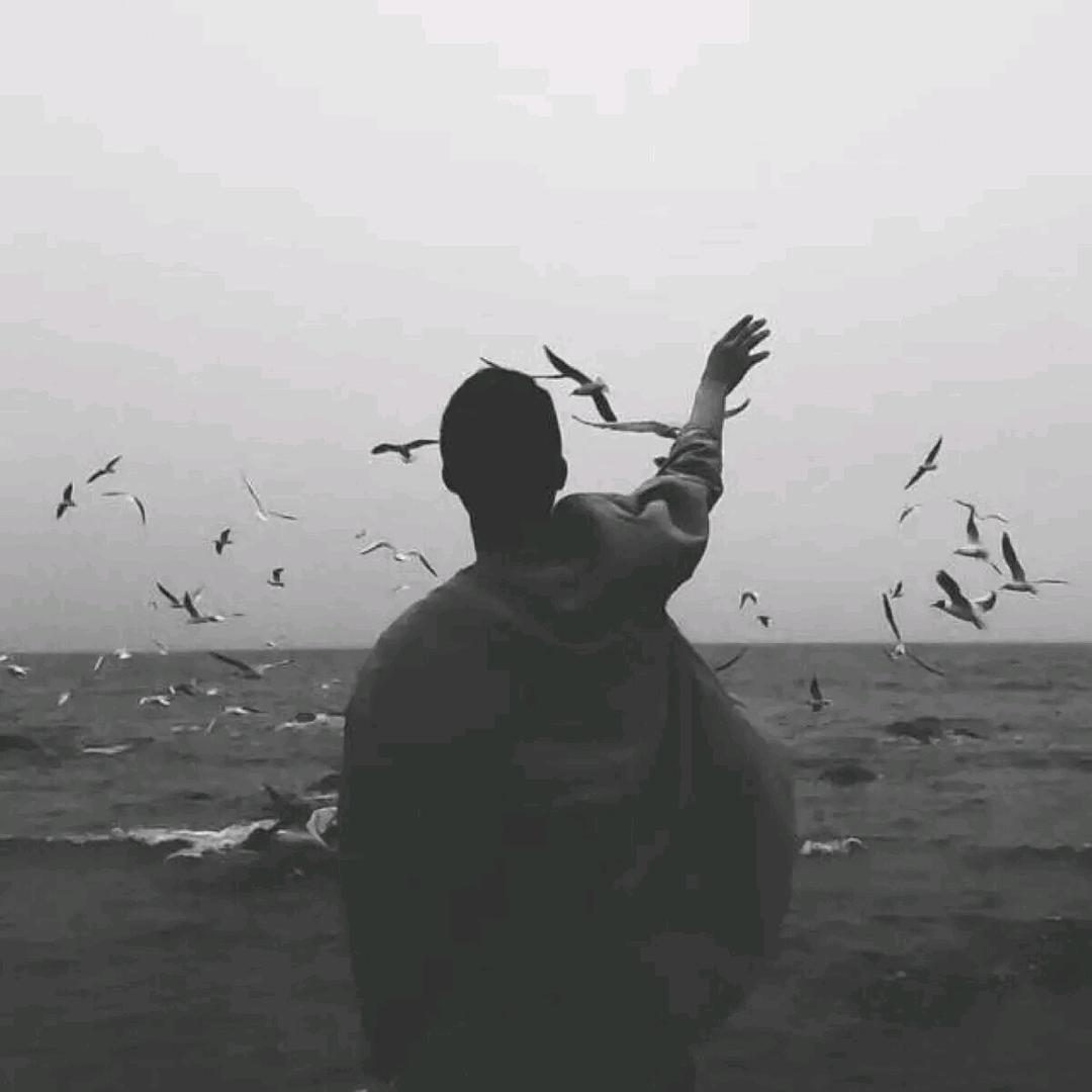 关中汉子（Carry）