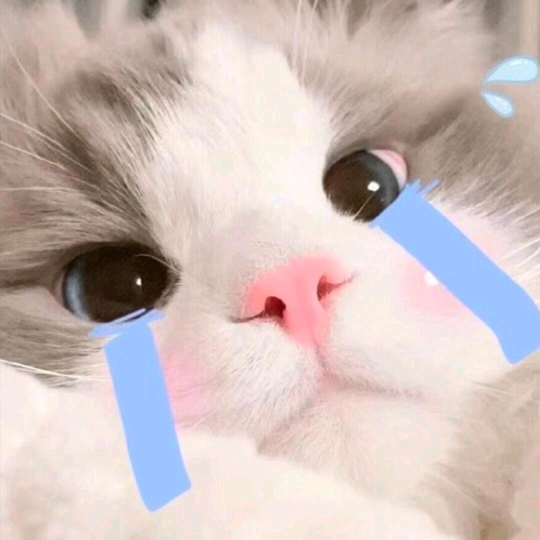 杨梅