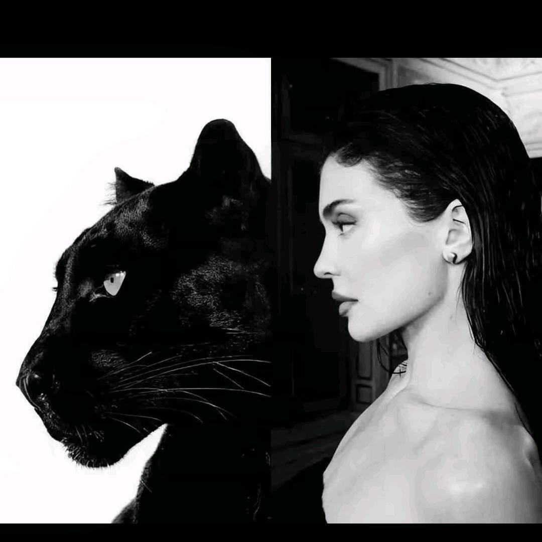 Danciy.