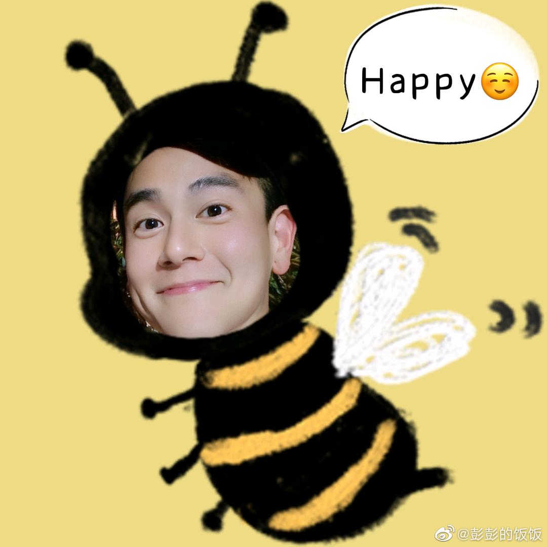 想拱白菜的小猪