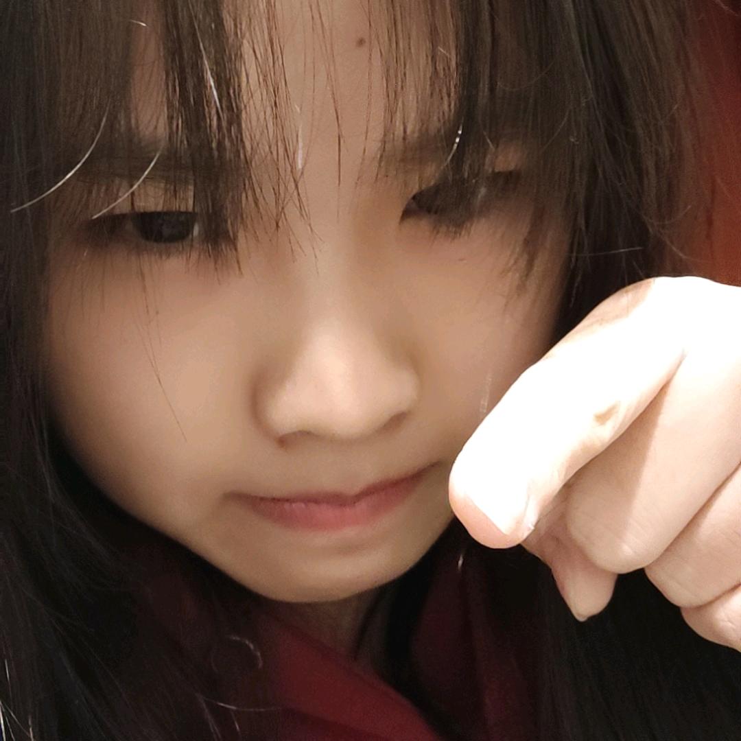 不可李燏