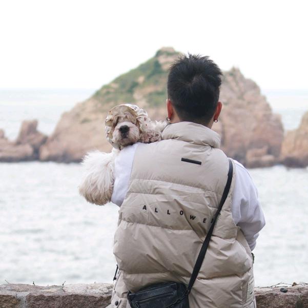 🍉汪小喵宠物丶niko🐶🐱