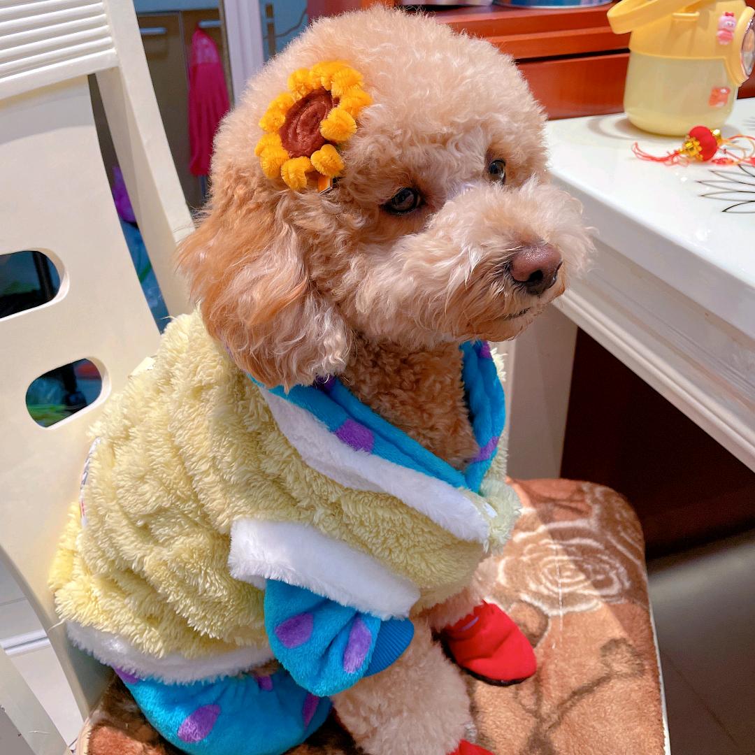 向生活低头