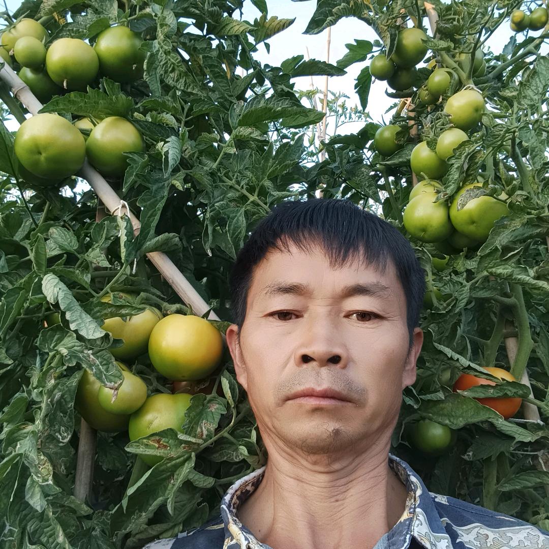 陈四哥