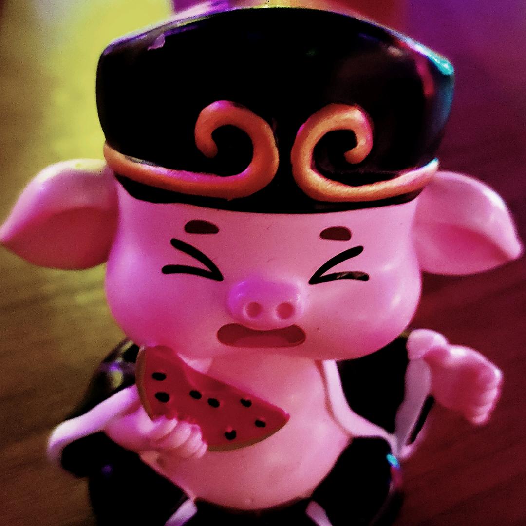 西北八戒爱旅行