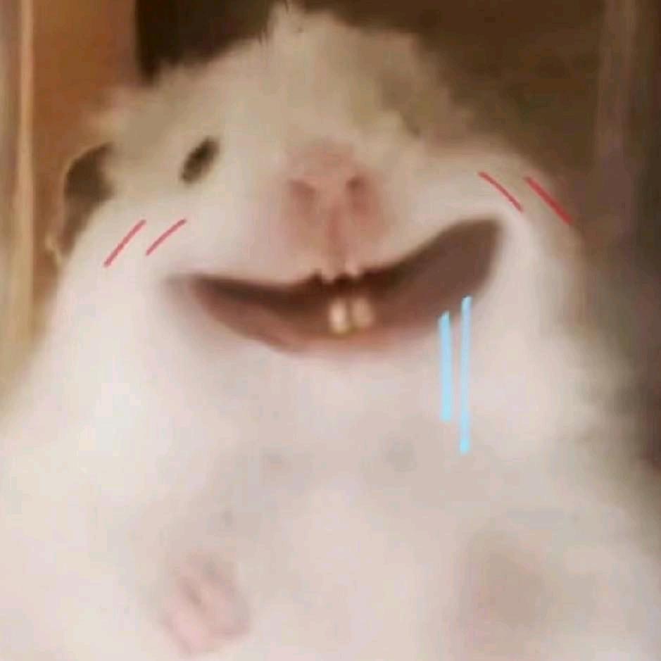 小鱼