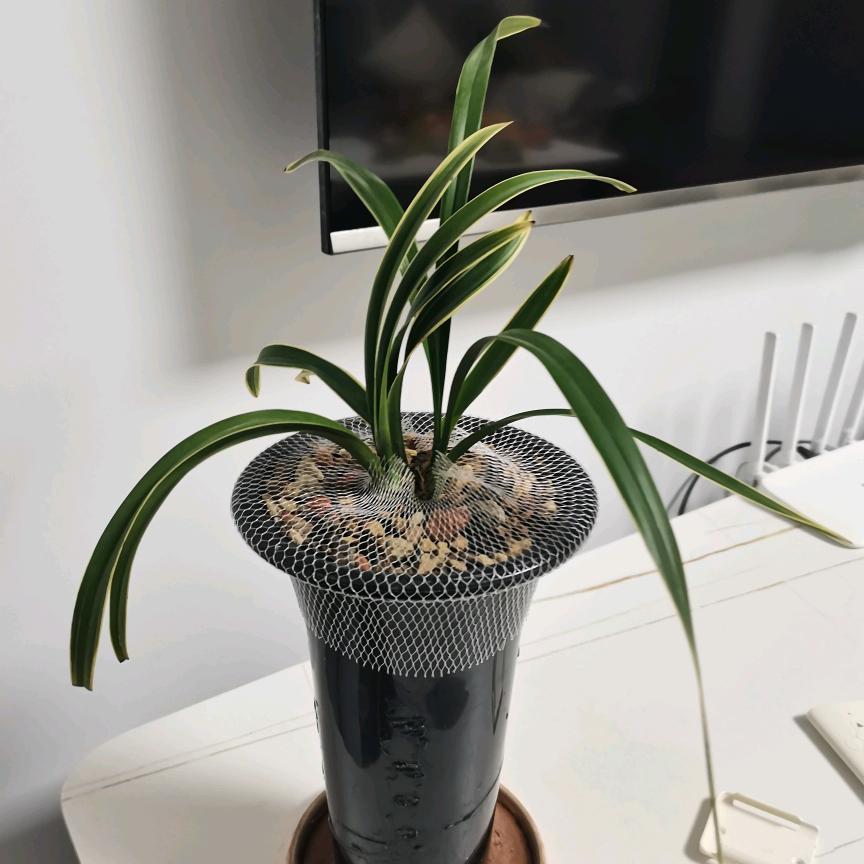 王谦