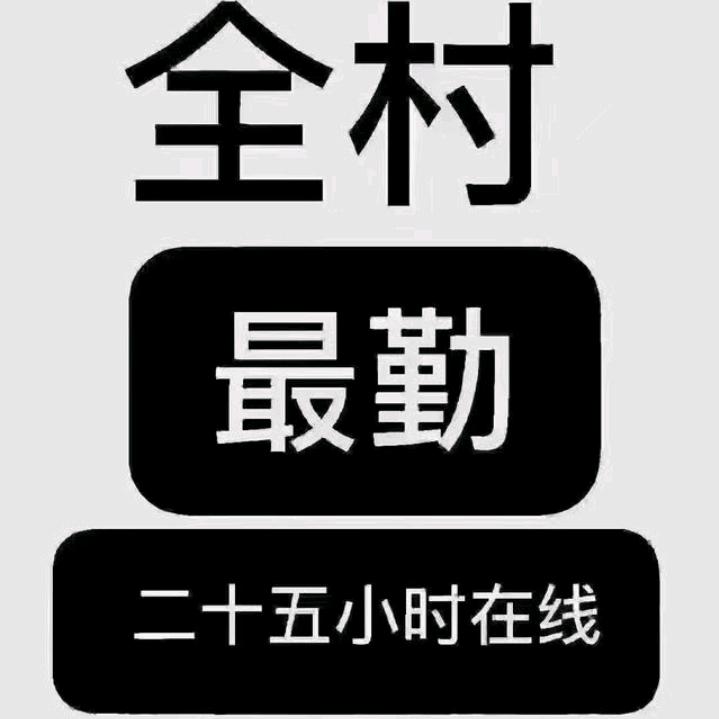 杜小二