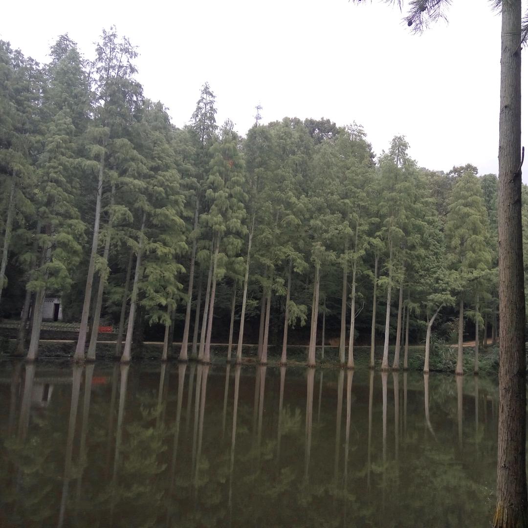 懂你.Miss张
