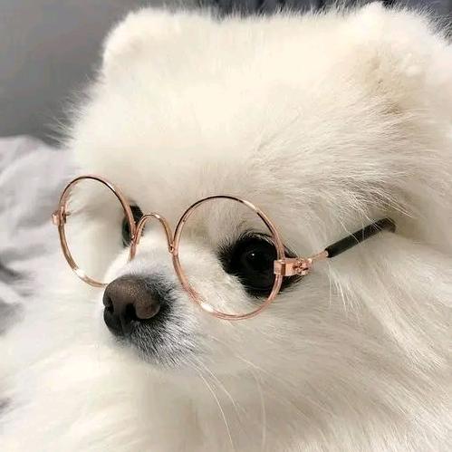 李子木武器（英雄联盟）