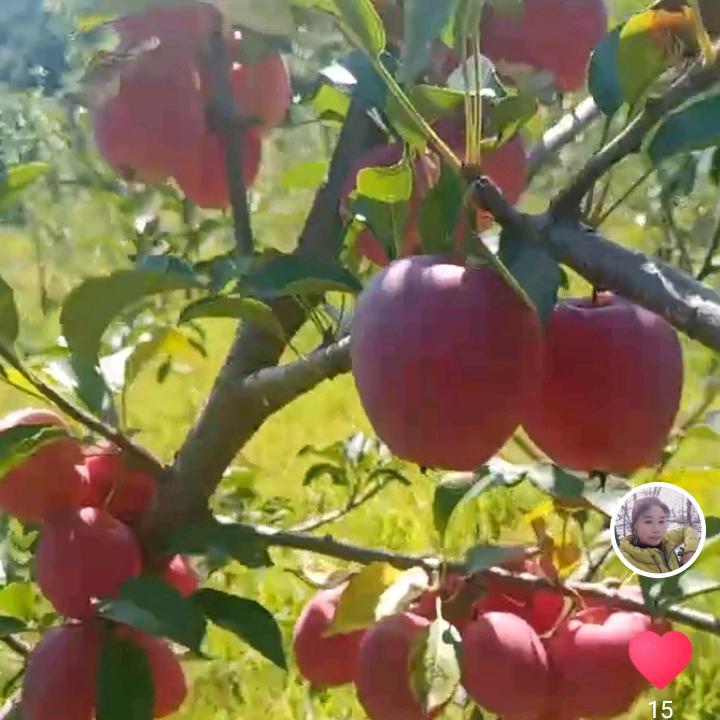 你的善良，必须带点锋芒