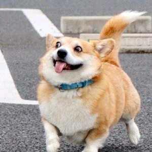 取个霸气的名字