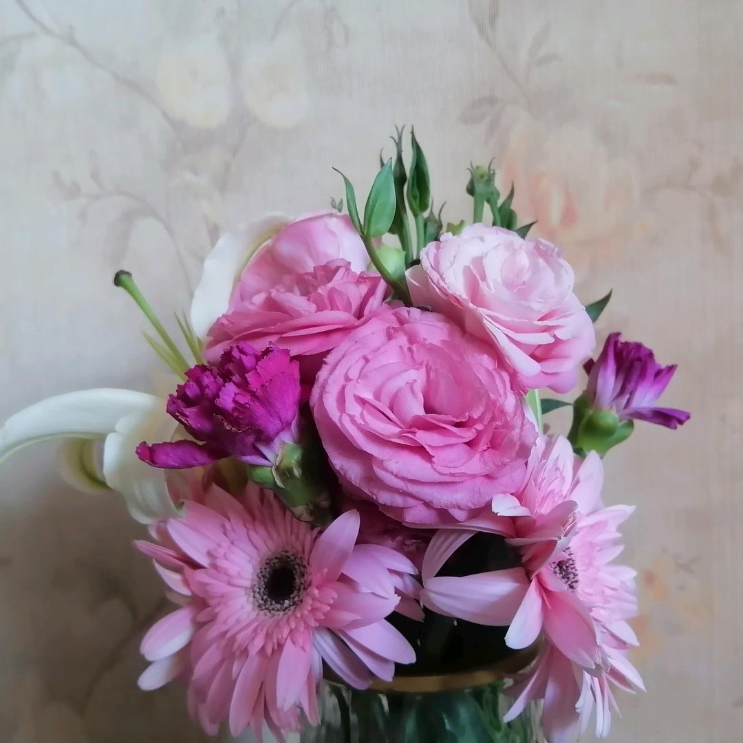 鹿先森的橙女士～