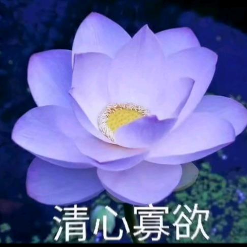 性感纯欲母蟑螂