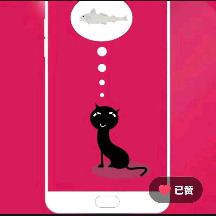 想着鱼的猫