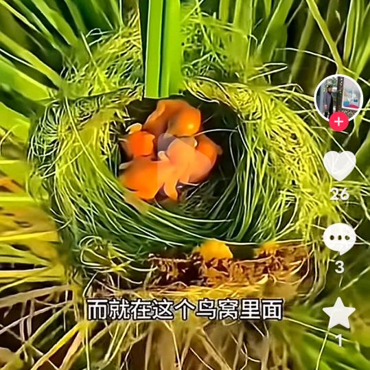 快快乐乐