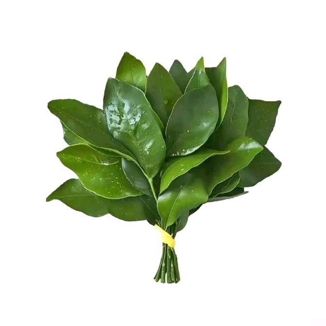 唐三（恩师玉小刚）