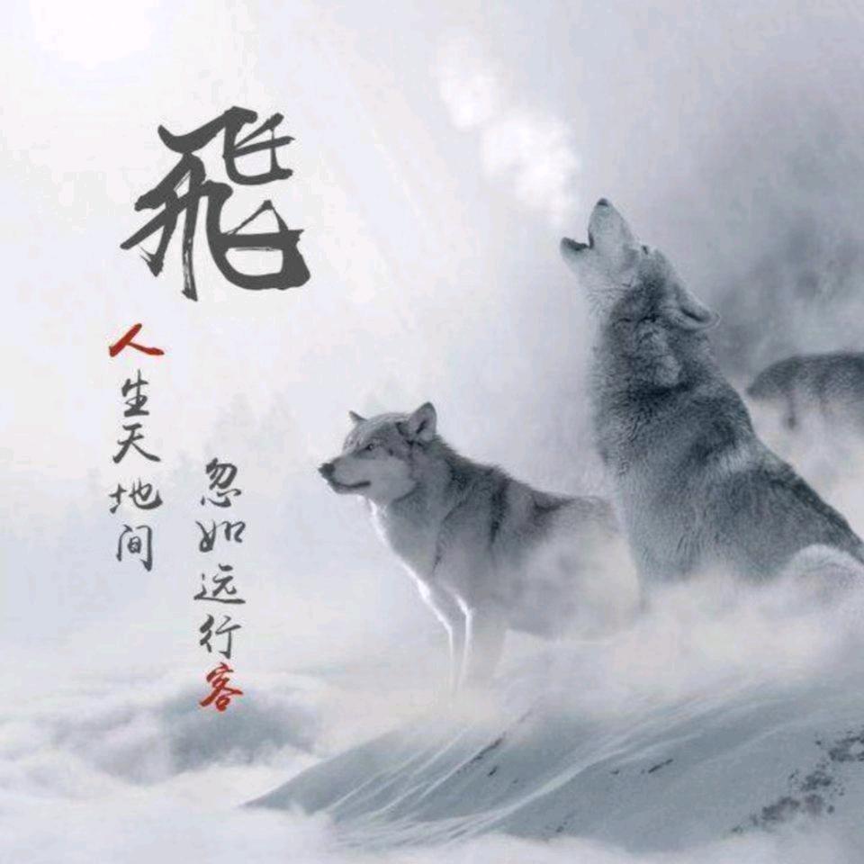 飞哥品牌甄选