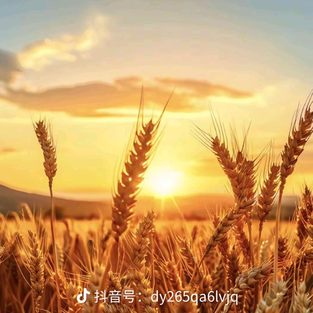 妞妞🌺