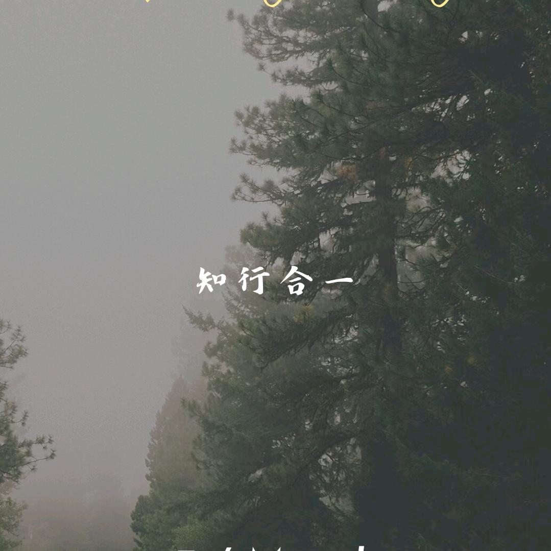 学历提升张老师