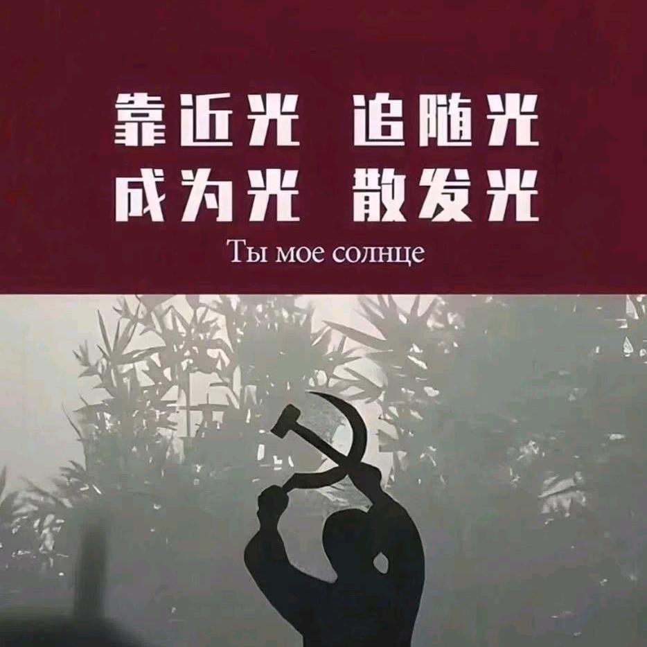 吃土豆长大的马铃薯[橱窗有好物]
