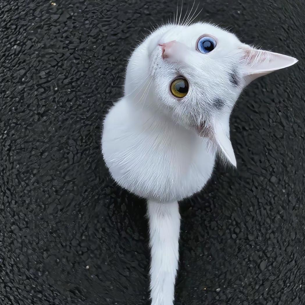 未 来