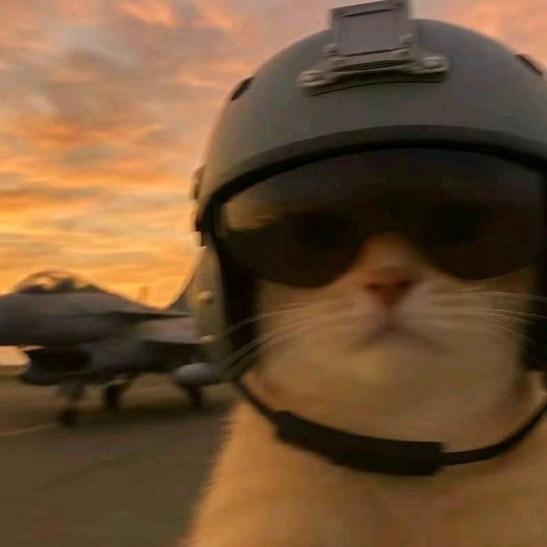 只给熊大的女生点灯牌