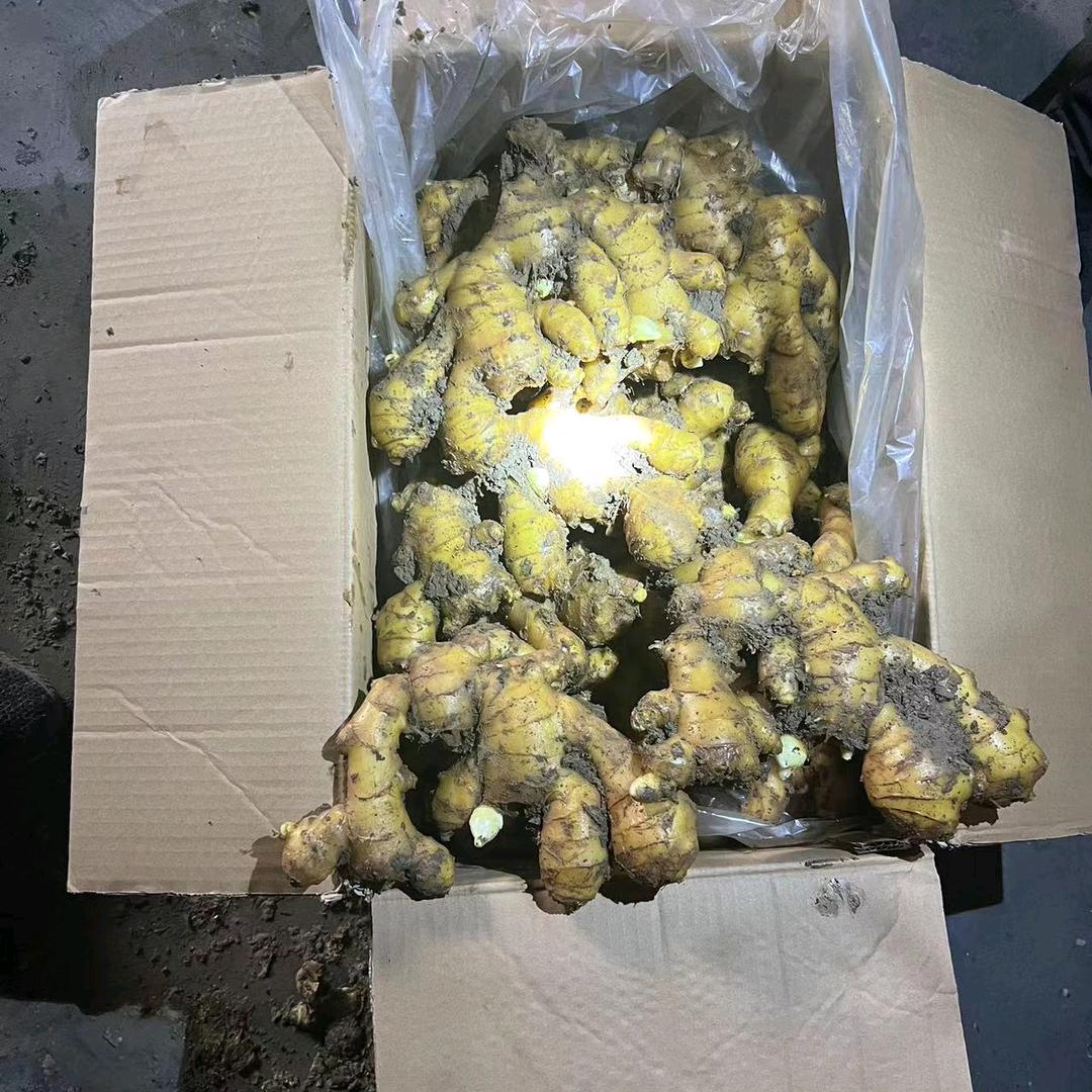 （亿通姜山）生姜购销