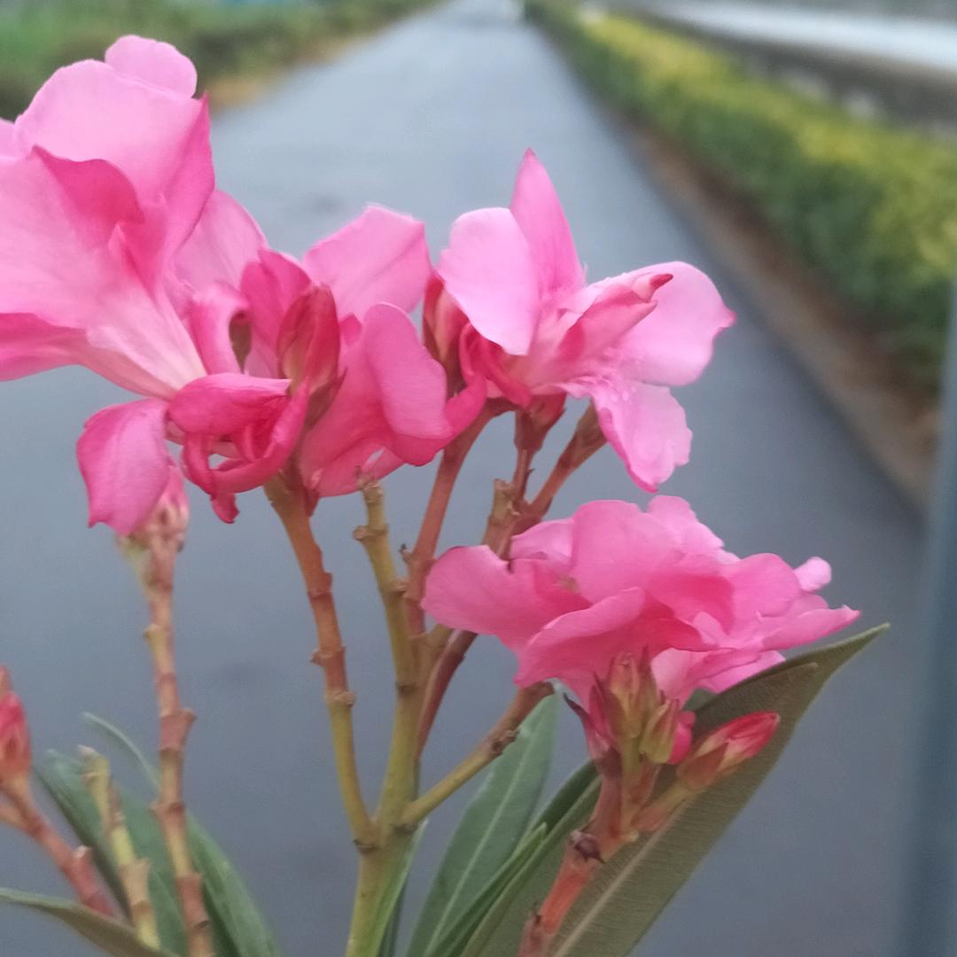 未来不是梦