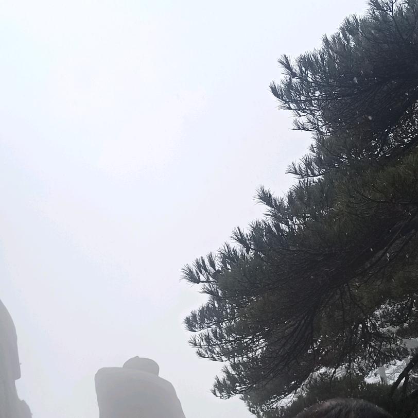 谭.