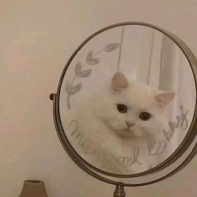 一闪一闪亮晶晶，