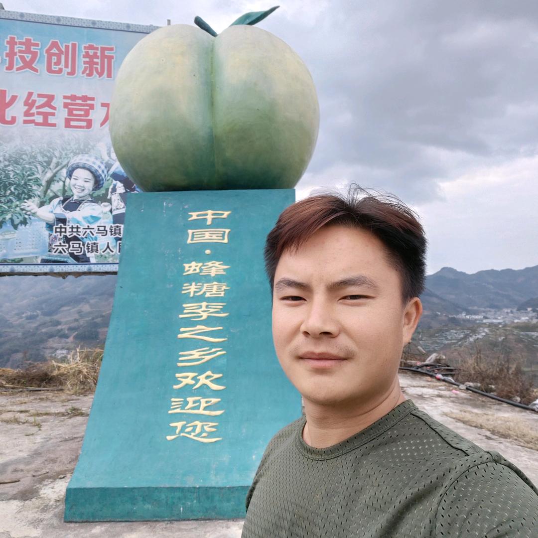 黔礼六马蜂糖李苗木鲜果