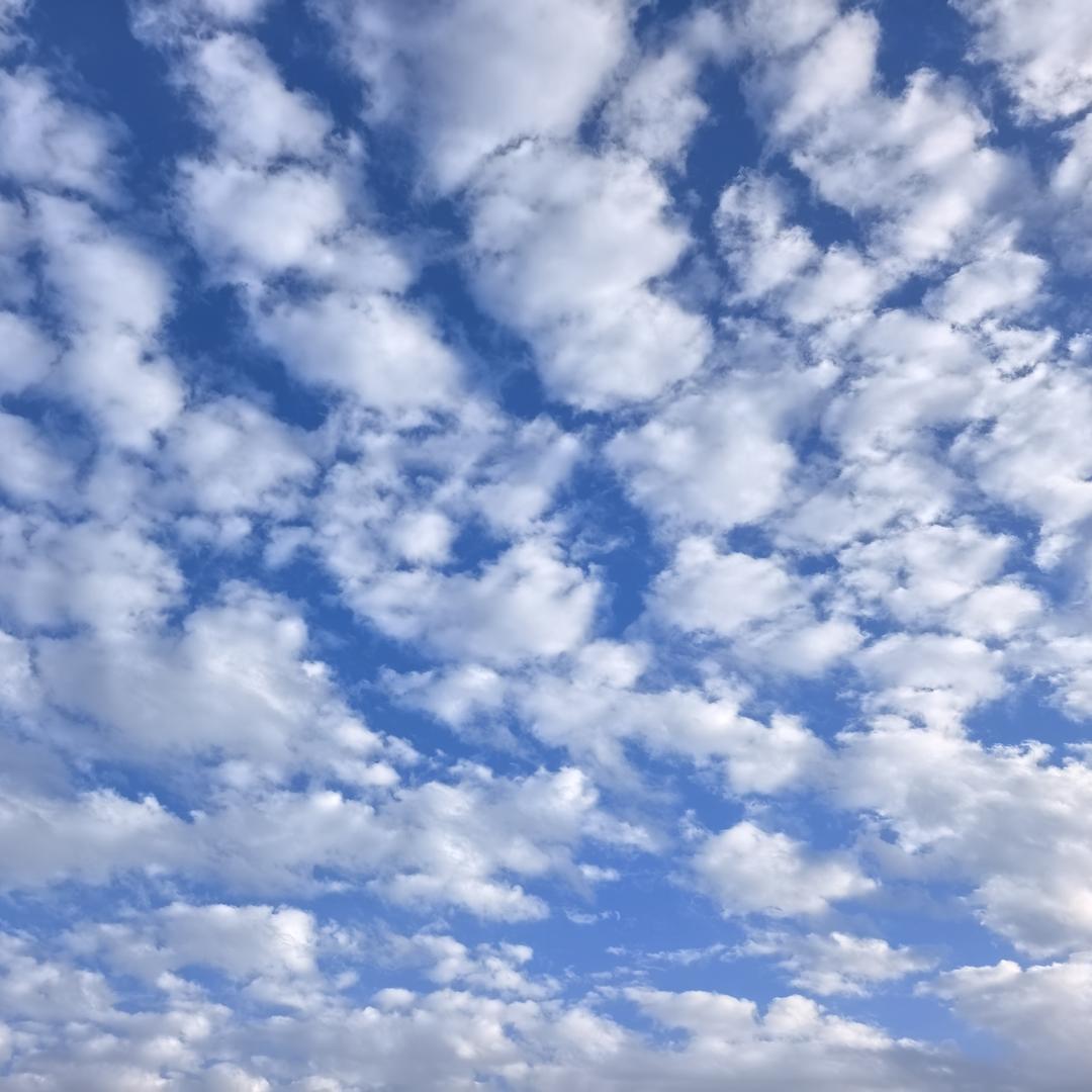 释燃