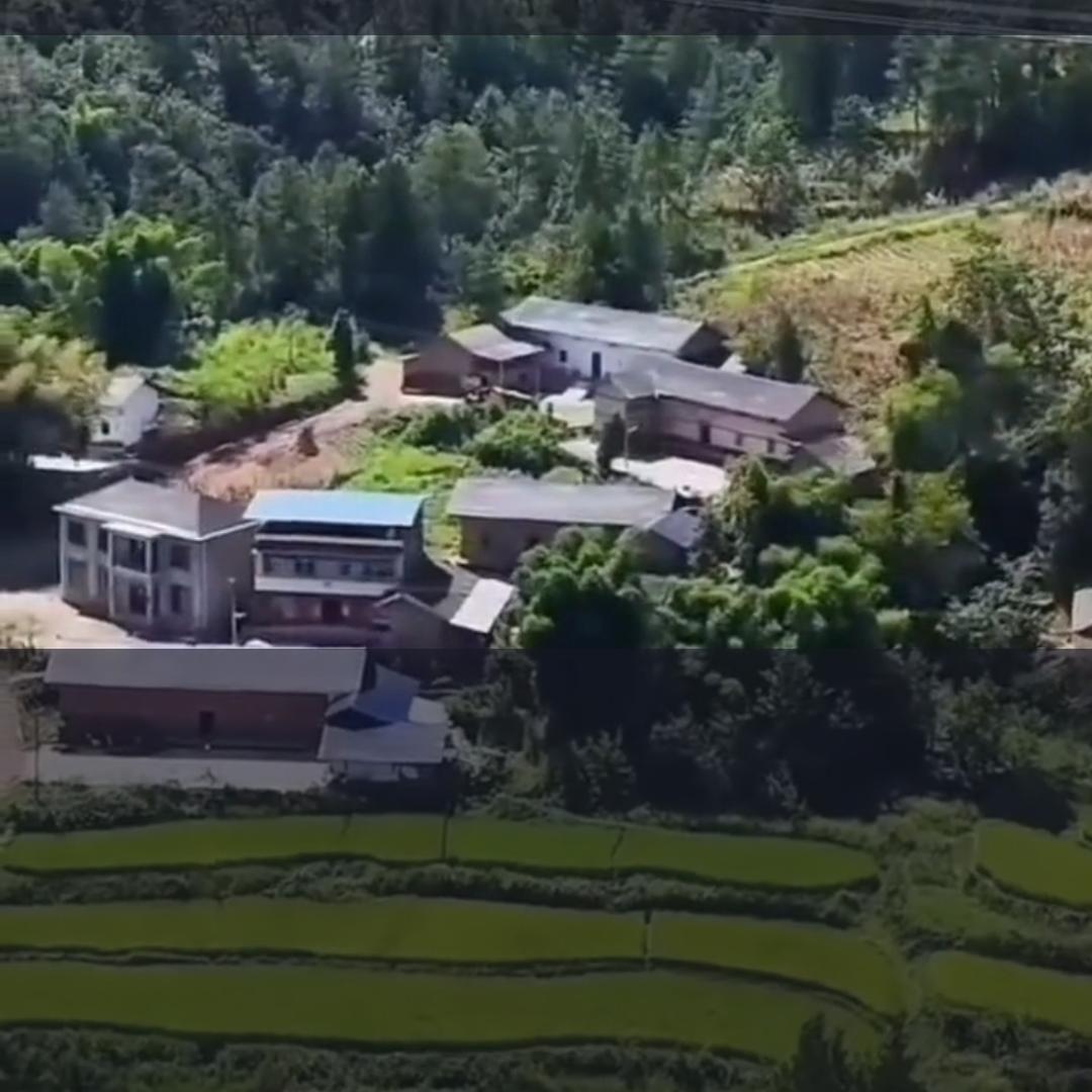 梦的💤滋味🏡