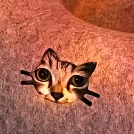 我是静静₍ᐢ..ᐢ