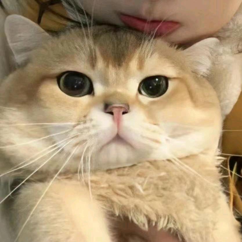金得二