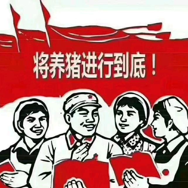 （公司+农户）育肥分析师