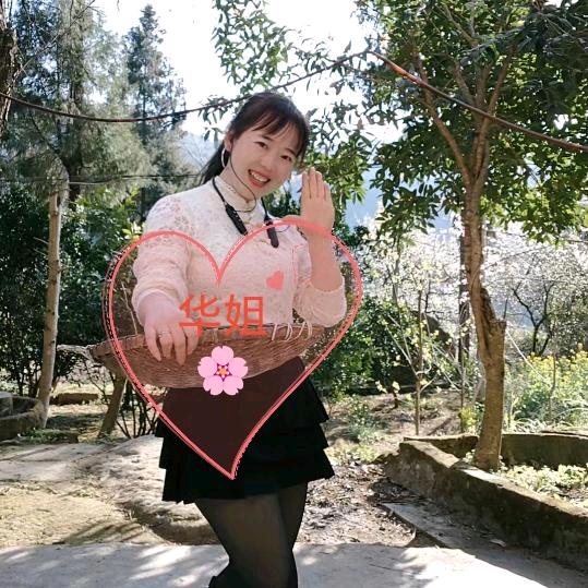 华姐🌸