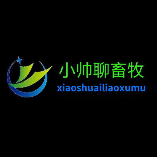 小帅聊养鸭