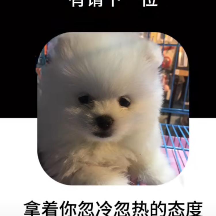 往事随风冯姐姐