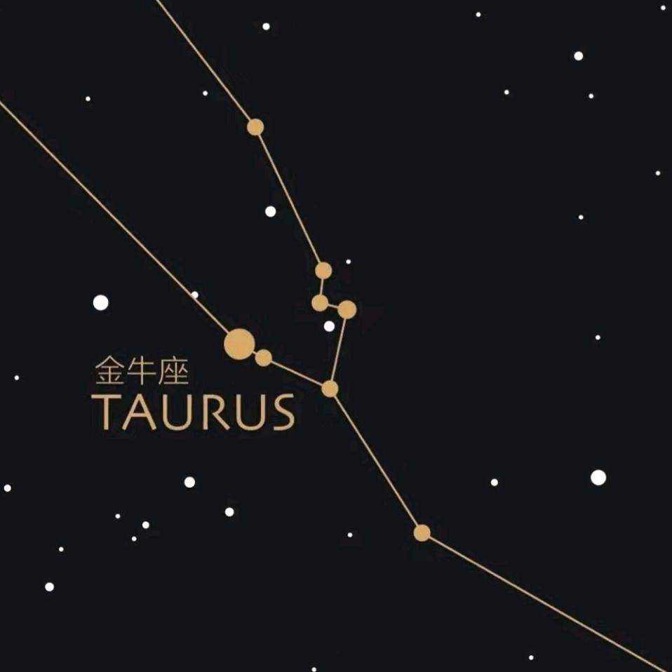 金牛座♉️茶球娱乐会所