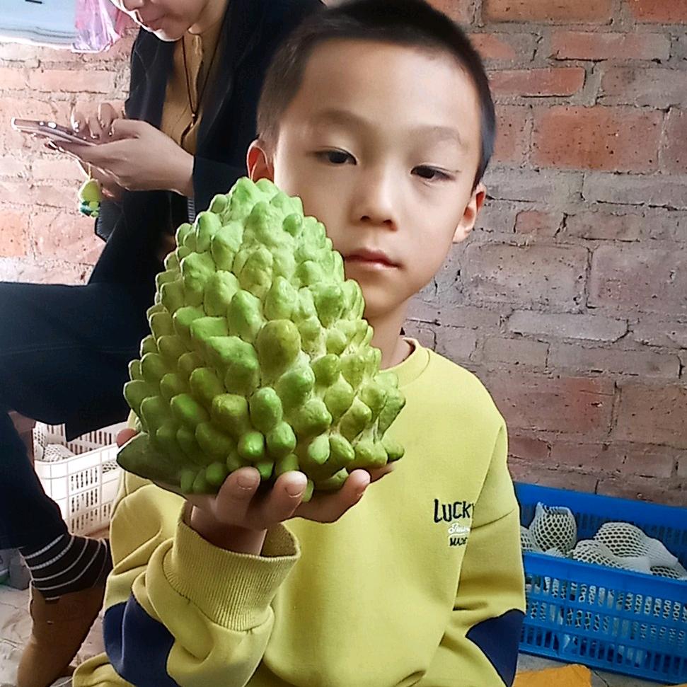 Ling玲玲