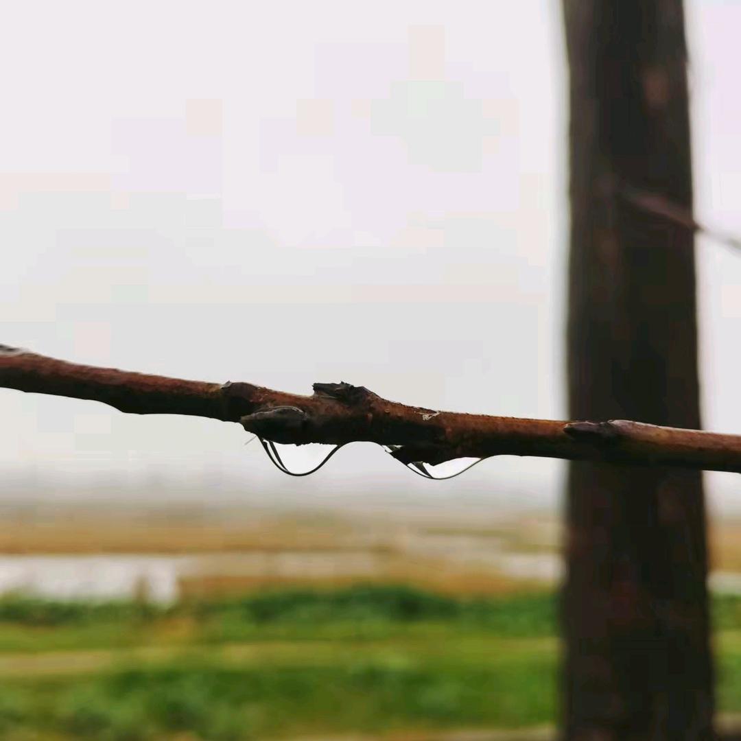 胡闹