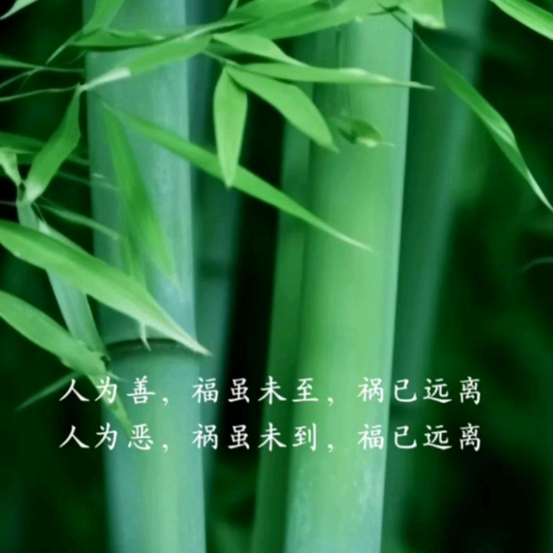 了，如不相欠，何会相见