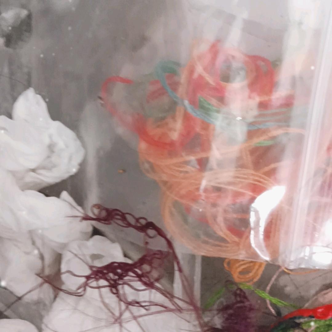 羊羊橱窗