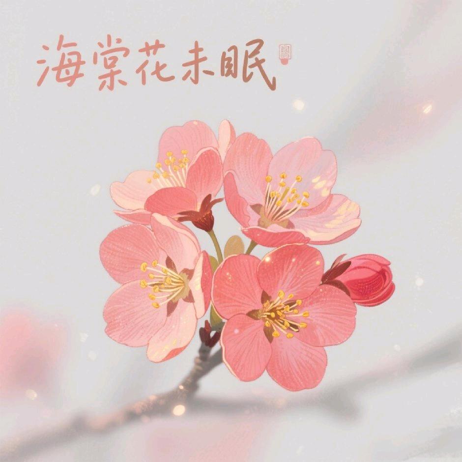 海棠花