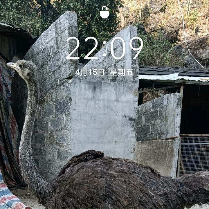 黄景波