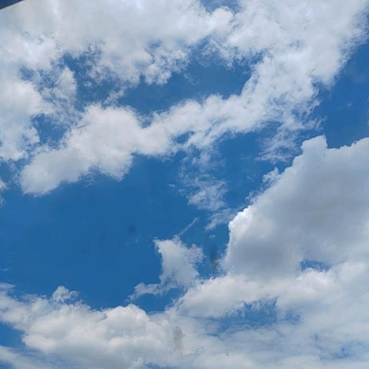 辰 813