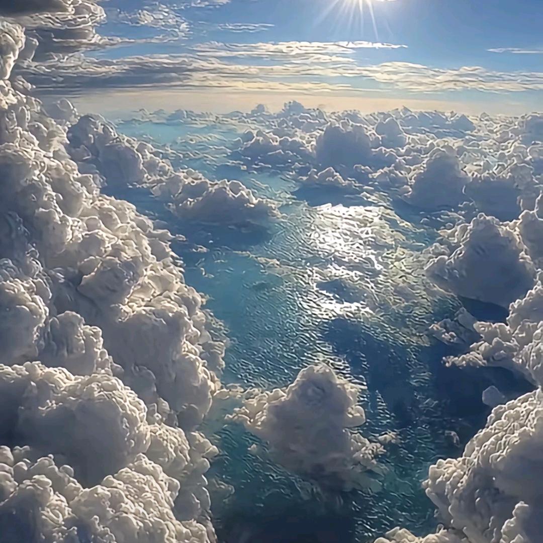 金水秋